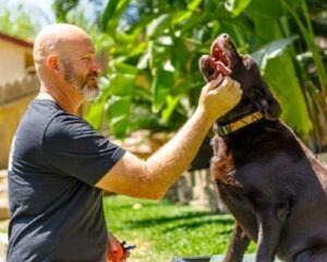OLK9 Dog Trainers Care
